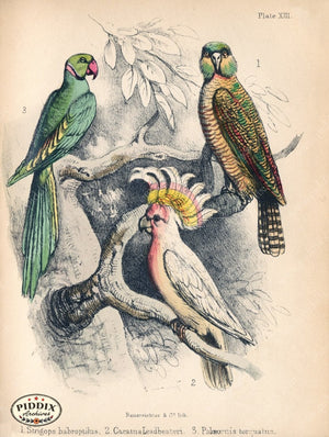 Pdxc10277 -- New For June Color Illustration
