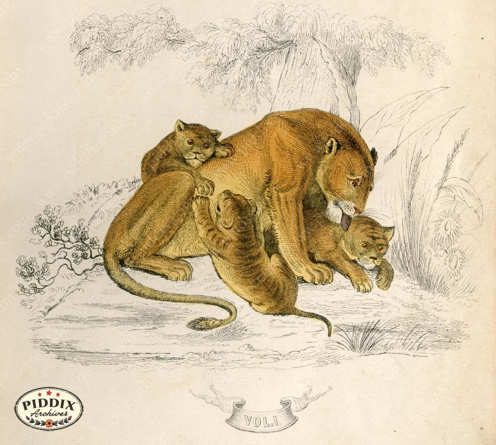 Pdxc10299 -- New For June Color Illustration