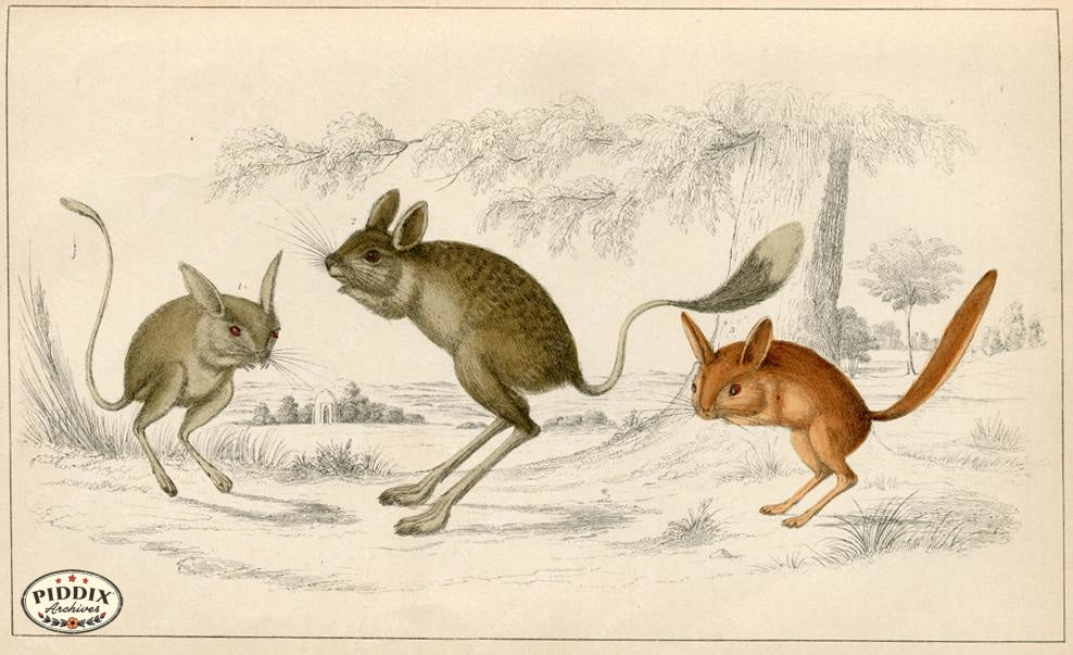 Pdxc10309 -- New For June Color Illustration