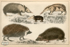 Pdxc10310 -- New For June Color Illustration