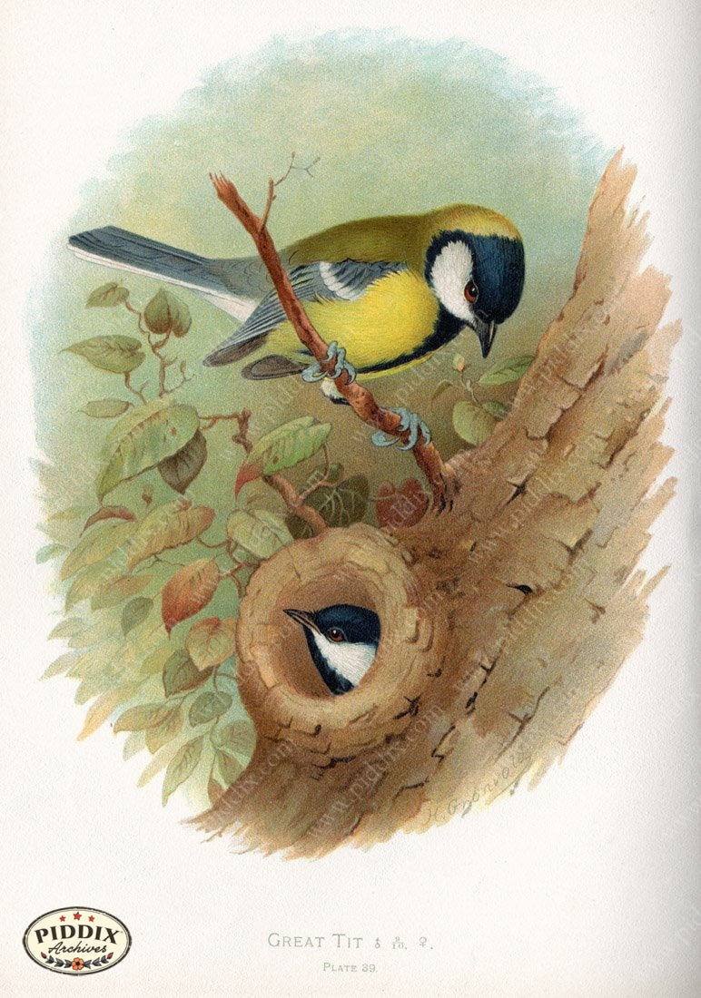 Pdxc10356 -- New For June Color Illustration