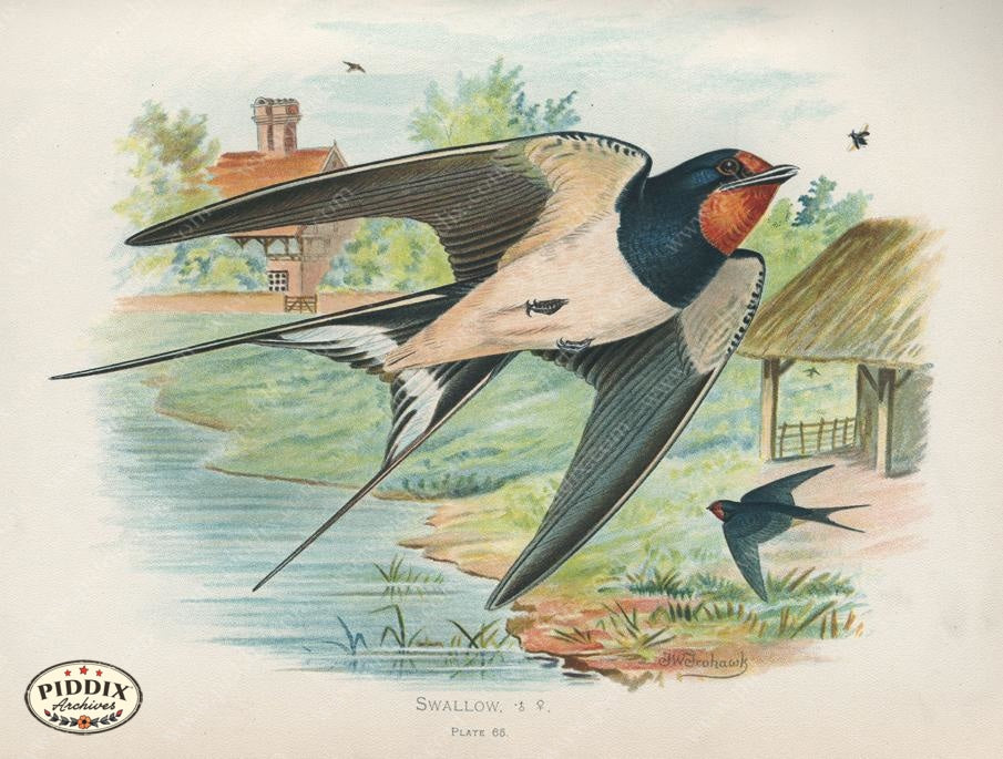 Pdxc10386 -- New For June Color Illustration