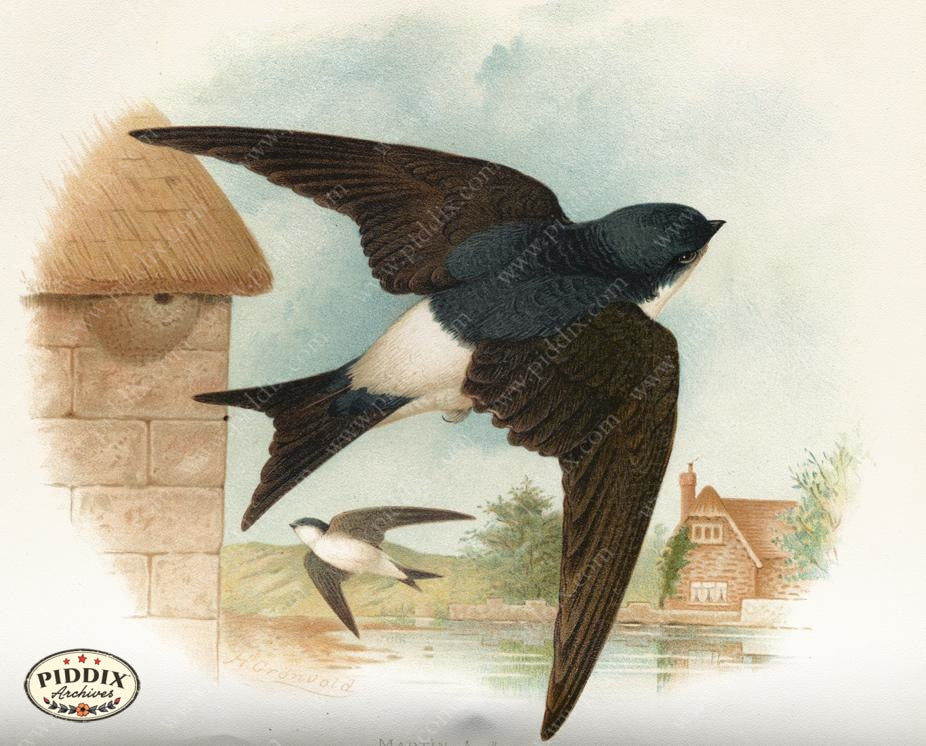 Pdxc10387 -- New For June Color Illustration