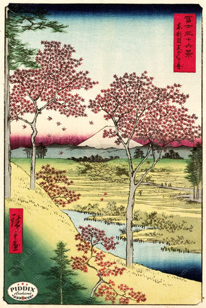 Pdxc1061 -- Japanese Woodblocks 1850S Color Illustration