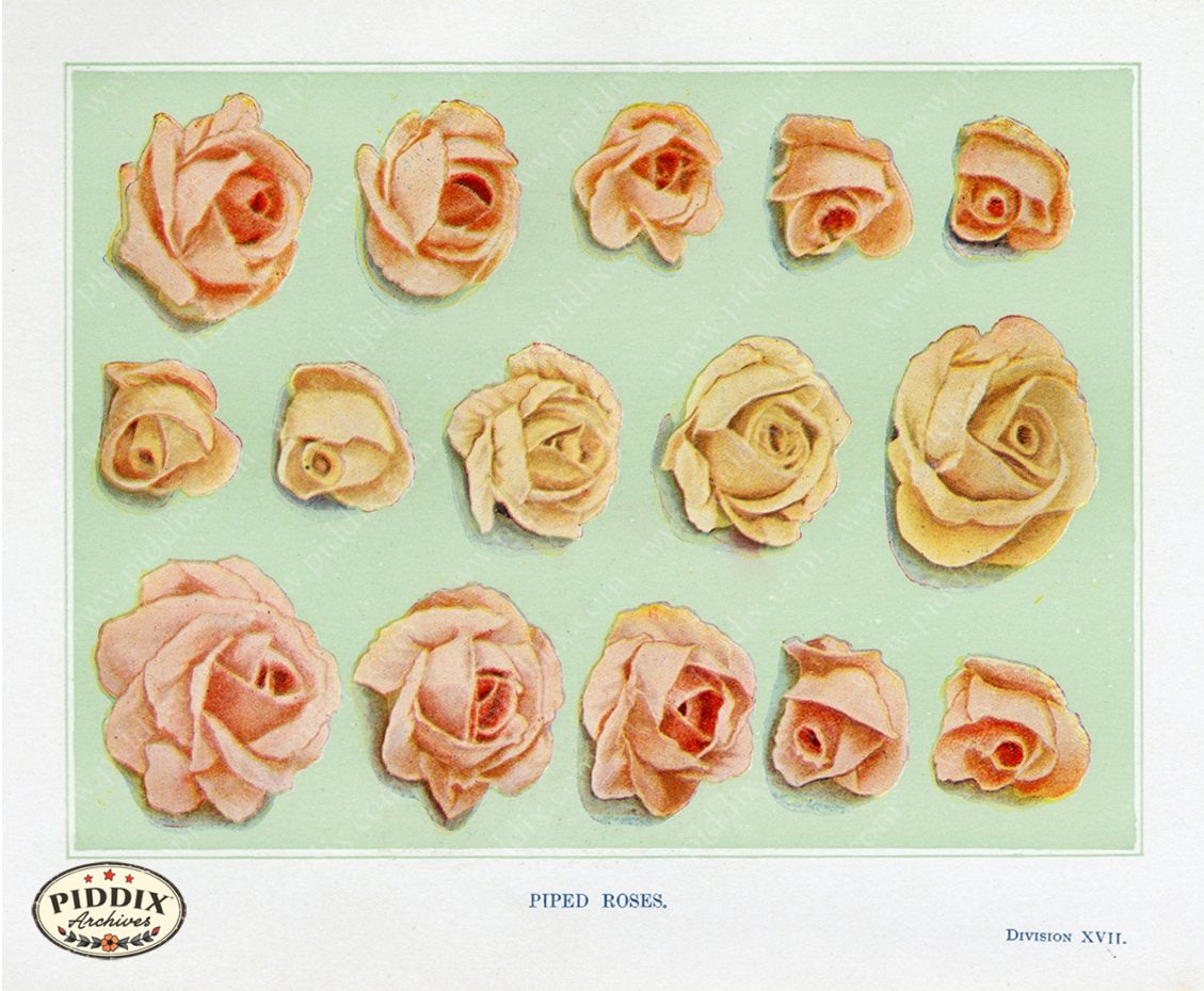 Pdxc1087 -- Sweet Treats Color Illustration