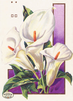 Pdxc10921-- Easter Postcard