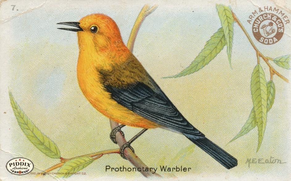 Pdxc10985 -- New For June Color Illustration