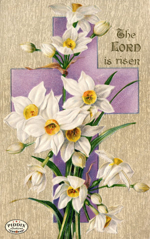 Pdxc11015 -- Easter Postcard