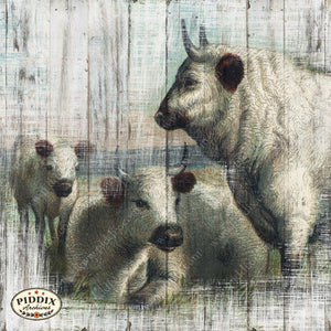 Pdxc11666B -- Farmhouse Animals Original Collage