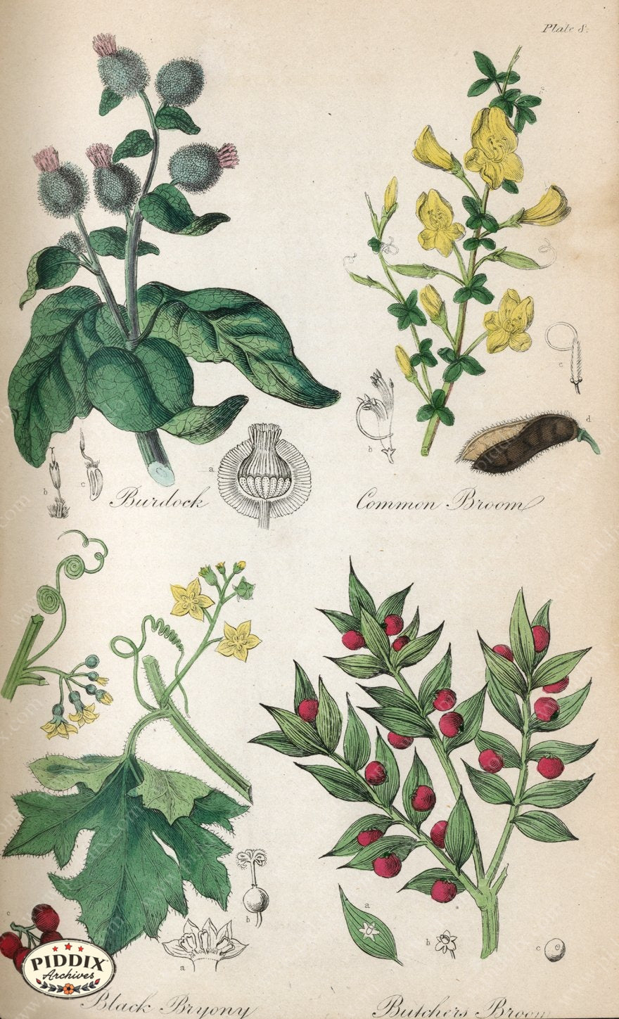 Pdxc12004 -- New For June Color Illustration