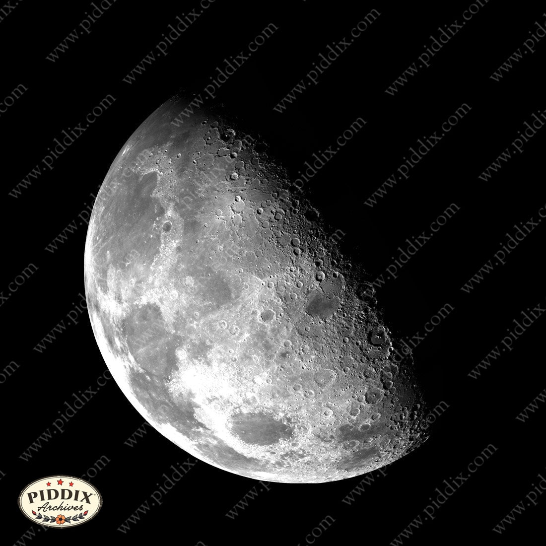 Pdxc12330 -- New For November Color Illustration