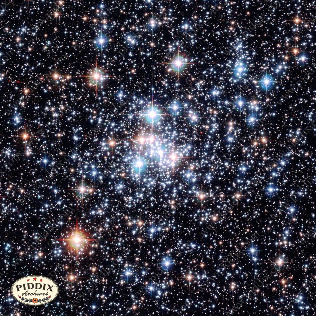 Pdxc12331 -- New For November Color Illustration