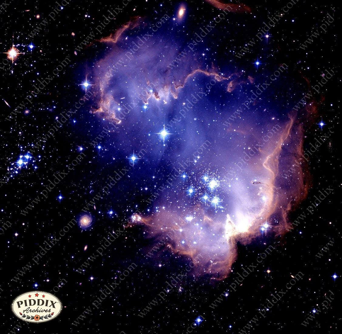 Pdxc12333 -- New For November Color Illustration