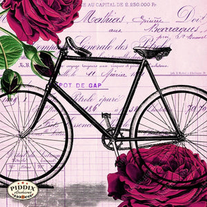 Pdxc12496C Flight & Flowers Original Collage