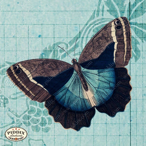 Pdxc12499A & B -- Flight Flowers Original Collage