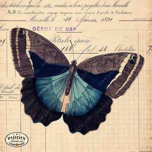 Pdxc12500 -- Flight & Flowers Original Collage