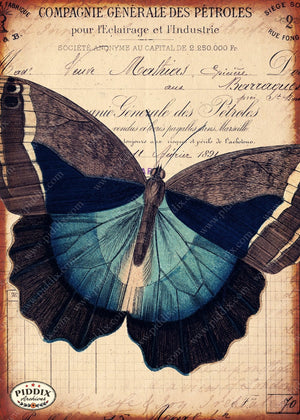 Pdxc12500 -- Flight & Flowers Original Collage