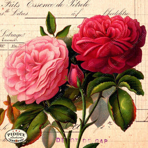 Pdxc12501 -- Flight & Flowers Original Collage