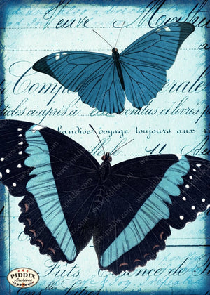 Pdxc12518 -- Flight & Flowers Original Collage