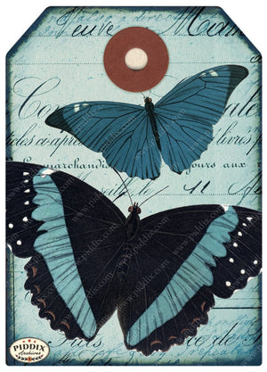 Pdxc12518 -- Flight & Flowers Original Collage