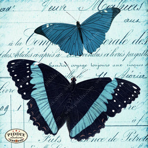 Pdxc12518 -- Flight & Flowers Original Collage