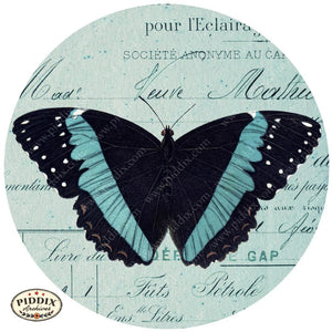 Pdxc12520 -- Flight & Flowers Original Collage