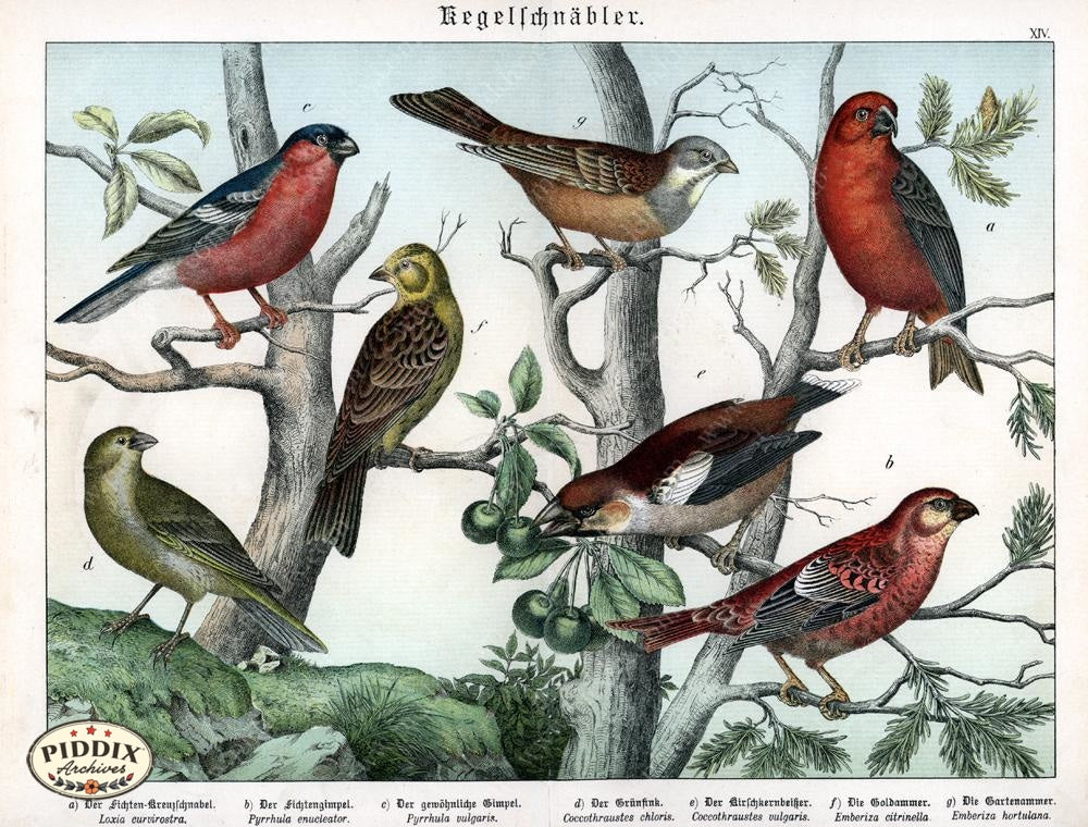 Pdxc12783 -- New For June Color Illustration