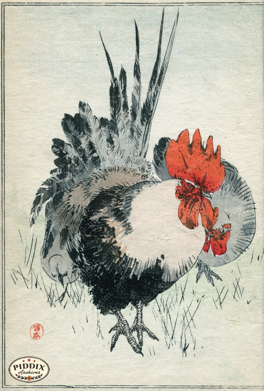 Pdxc14150 -- New For June Color Illustration