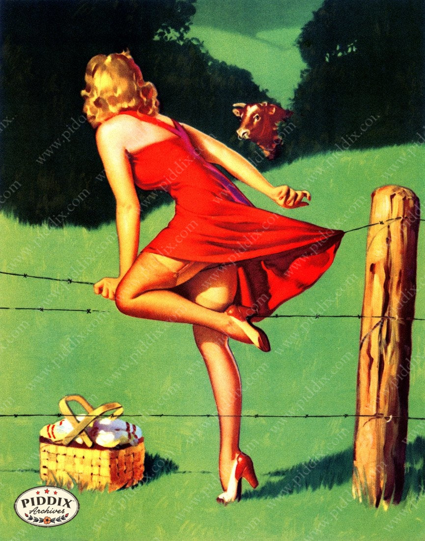 Pdxc14386 -- Pin-Ups Color Illustration
