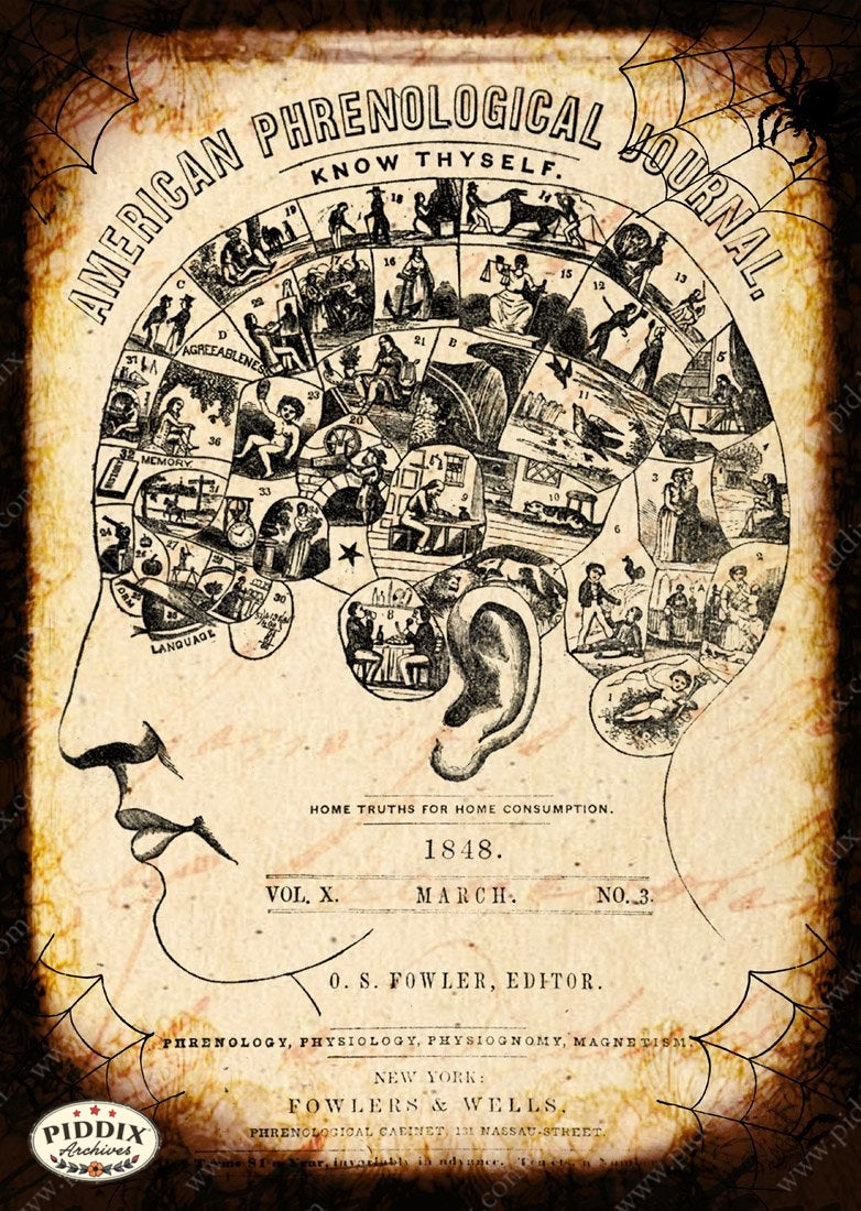 Pdxc14430B -- New For November Color Illustration