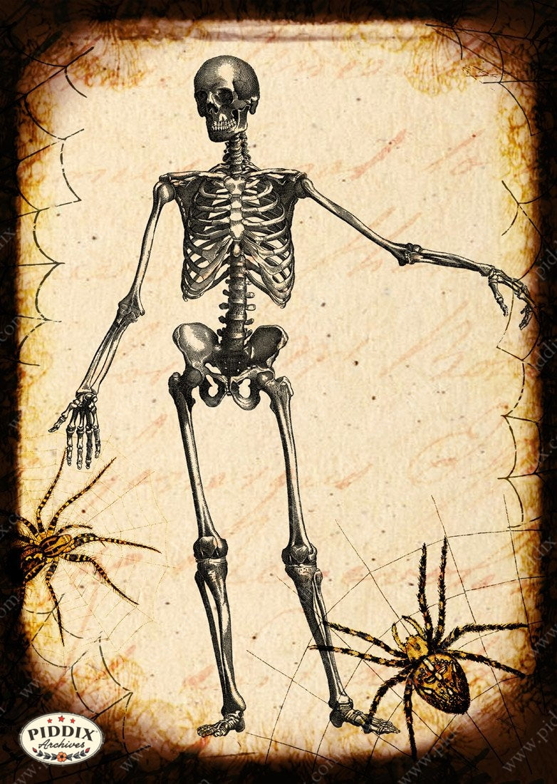 Pdxc14437 -- New For November Color Illustration