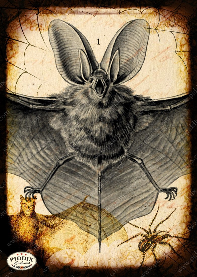 Pdxc14438 -- New For November Color Illustration