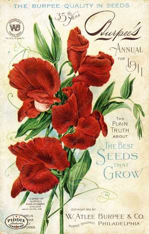 Pdxc1479 -- Flower Seed Catalogs Color Illustration
