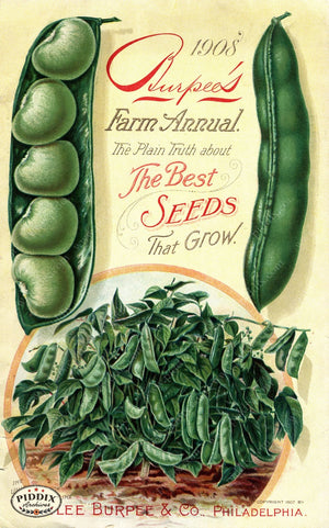 Pdxc1480 -- Fruit & Vegetable Seed Catalogs Color Illustration