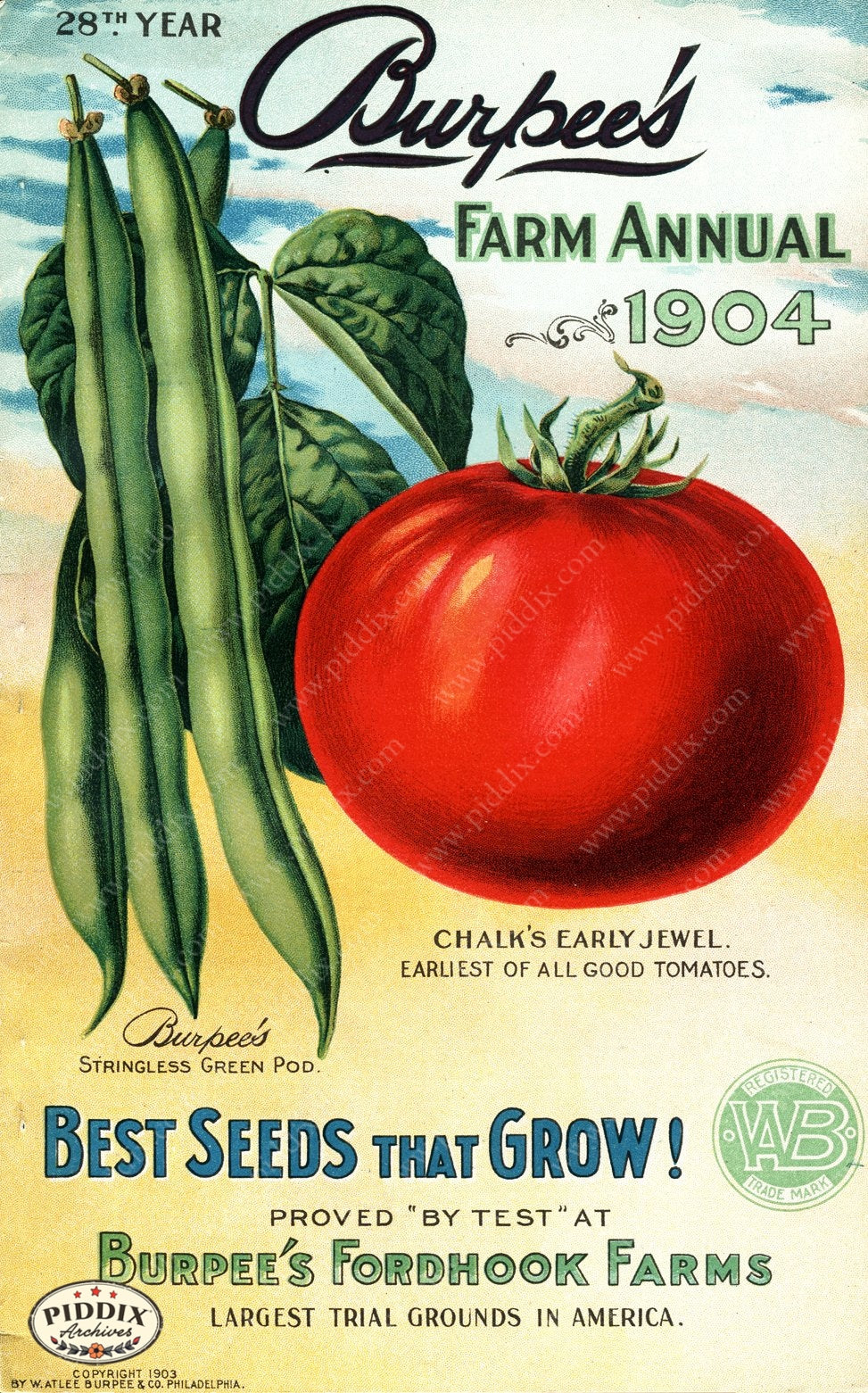 vegetable garden seed catalog PDXC1481 -- Fruit & Vegetable Seed Catalogs
