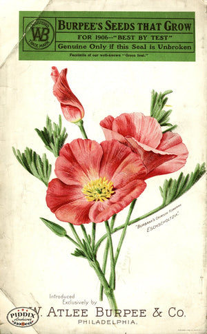 Pdxc1485 -- Flower Seed Catalogs Color Illustration