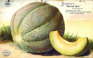 Pdxc1487 -- Fruit & Vegetable Seed Catalogs Color Illustration