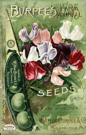 Pdxc1489 -- Fruit & Vegetable Seed Catalogs Color Illustration