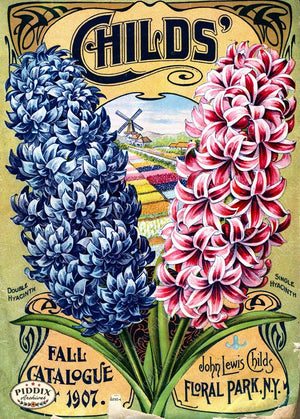 Pdxc1492 -- Flower Seed Catalogs Color Illustration