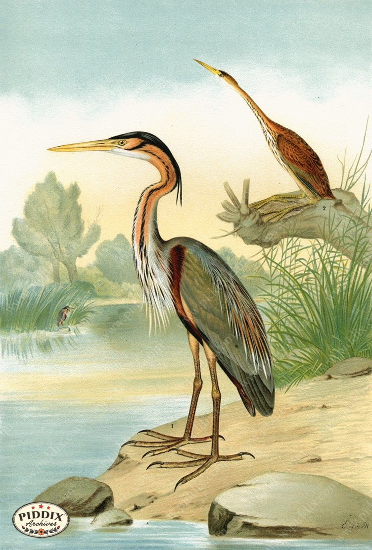 Pdxc14935 -- New For June Color Illustration