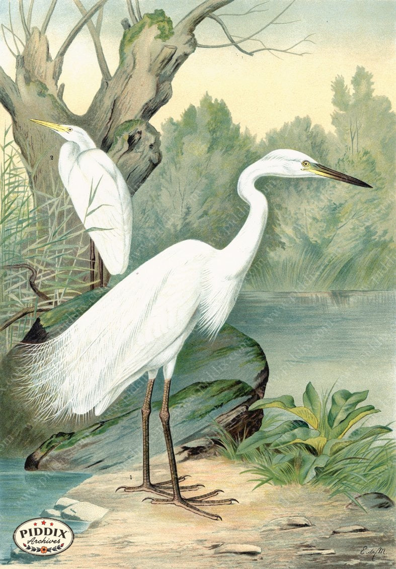 Pdxc14936 -- New For June Color Illustration