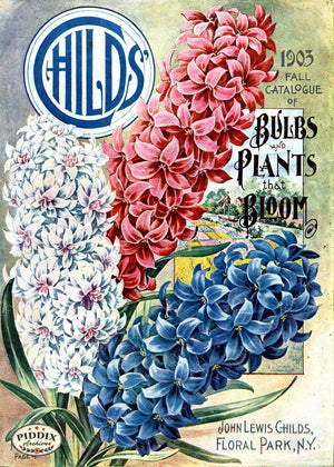 Pdxc1495 -- Flower Seed Catalogs Color Illustration