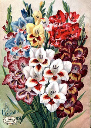 Pdxc1498 -- Flower Seed Catalogs Color Illustration