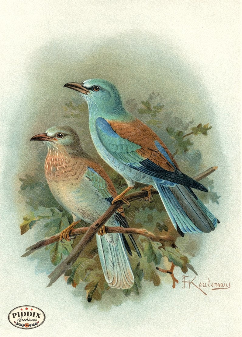 Pdxc14985 -- New For June Color Illustration