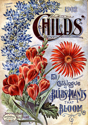 Pdxc1499 -- Flower Seed Catalogs Color Illustration