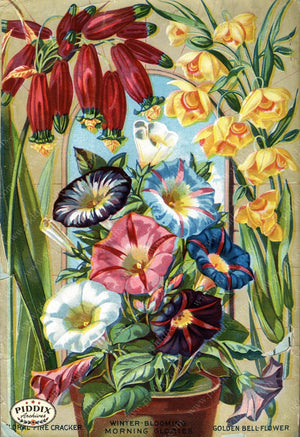 Pdxc1509 -- Flower Seed Catalogs Color Illustration