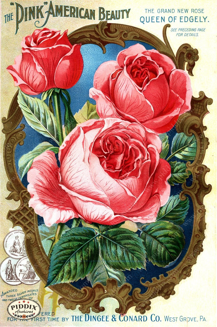 PDXC1515 -- Vintage Rose Culture Catalogs - piddix