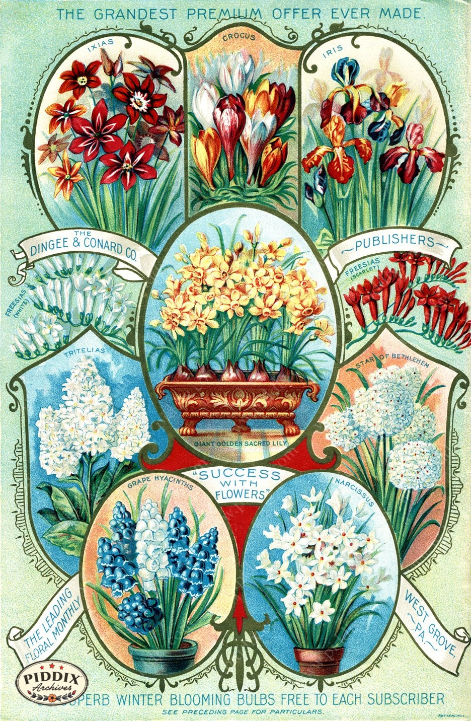 free flower seed catalogs PDXC1516 -- Flower Seed Catalogs