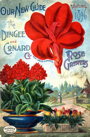 Pdxc1518 -- Vintage Rose Culture Catalogs Color Illustration
