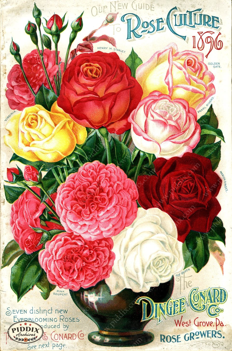 Monkey47ドンペリ Rosé Vintage 1990 b1200180-41-1000x700-50-50-q90.jpg